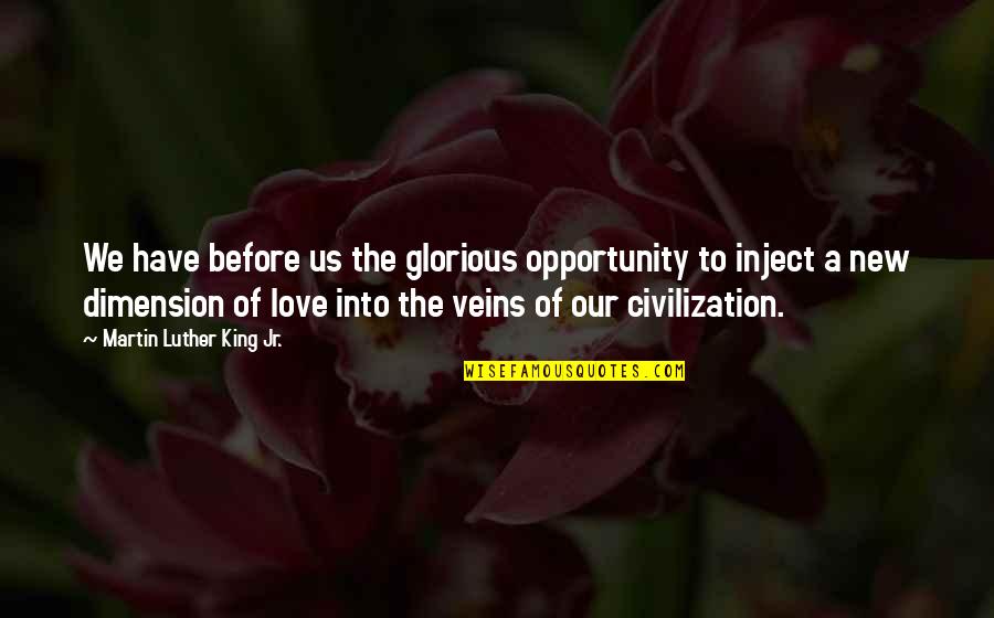 Wolynski Obituary Quotes By Martin Luther King Jr.: We have before us the glorious opportunity to