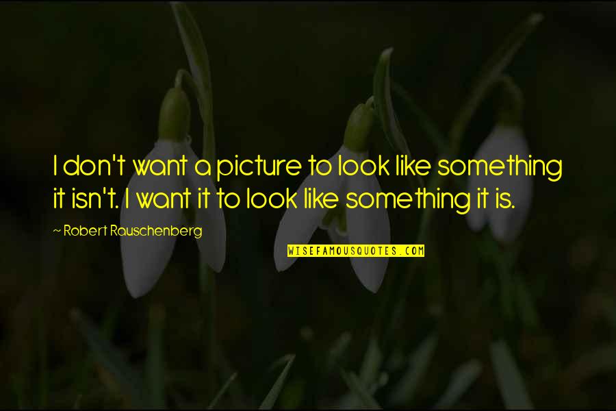 Woman Value Yourself Quotes By Robert Rauschenberg: I don't want a picture to look like