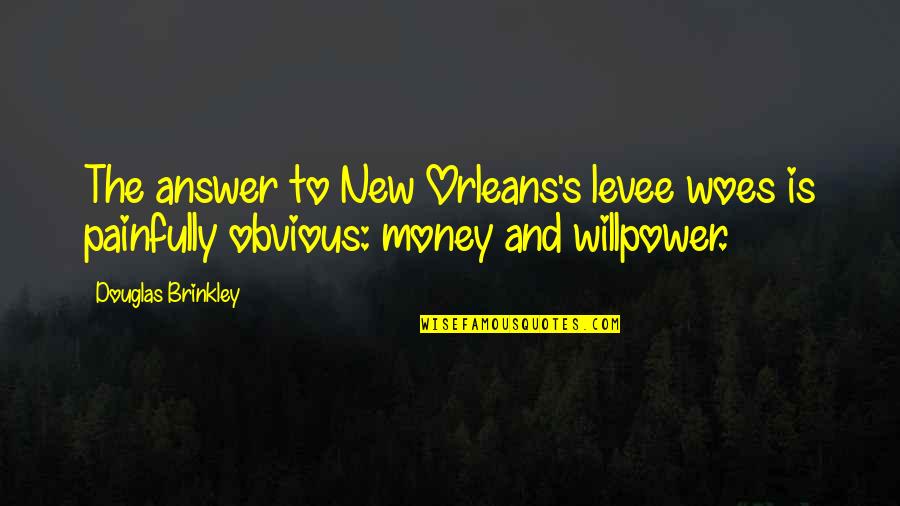 Womaniser Quotes By Douglas Brinkley: The answer to New Orleans's levee woes is