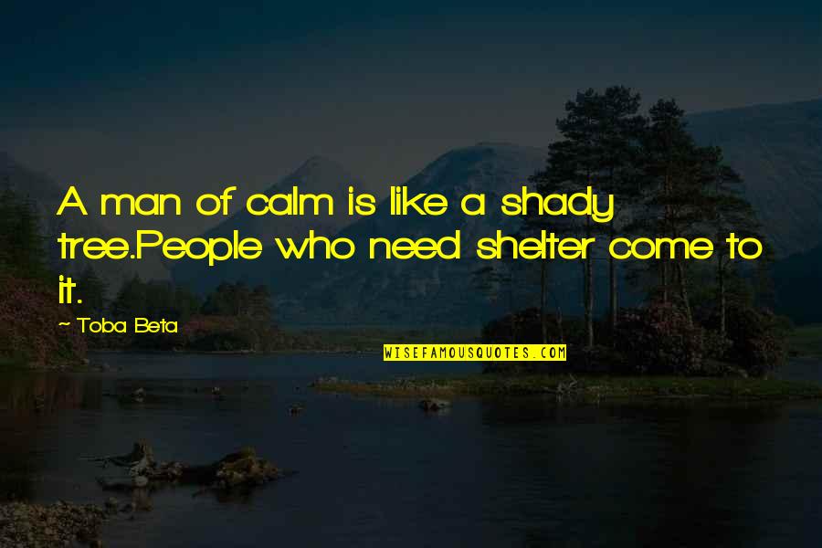 Womanist Quotes By Toba Beta: A man of calm is like a shady