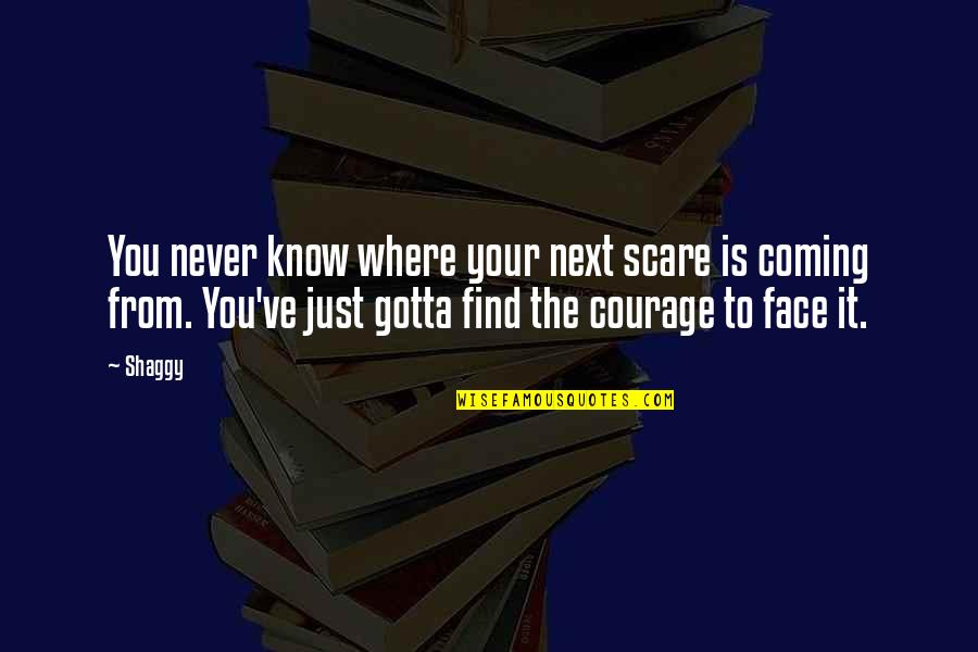 Women In Agile Quotes By Shaggy: You never know where your next scare is Women In Agile Quotes By Shaggy: You never know where your next scare is