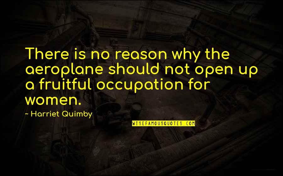 Women Should Not Quotes By Harriet Quimby: There is no reason why the aeroplane should