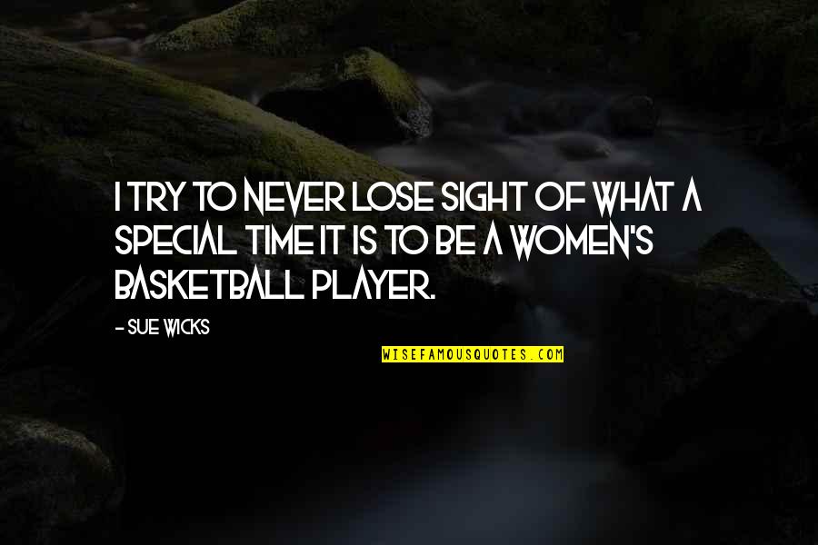 Women's Basketball Quotes By Sue Wicks: I try to never lose sight of what