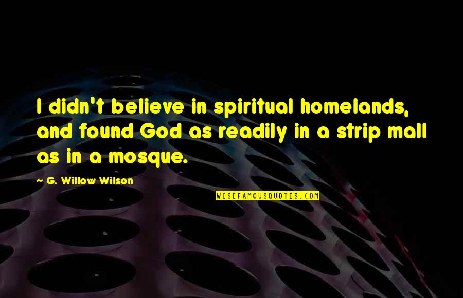 Wonder Book Via Quotes By G. Willow Wilson: I didn't believe in spiritual homelands, and found