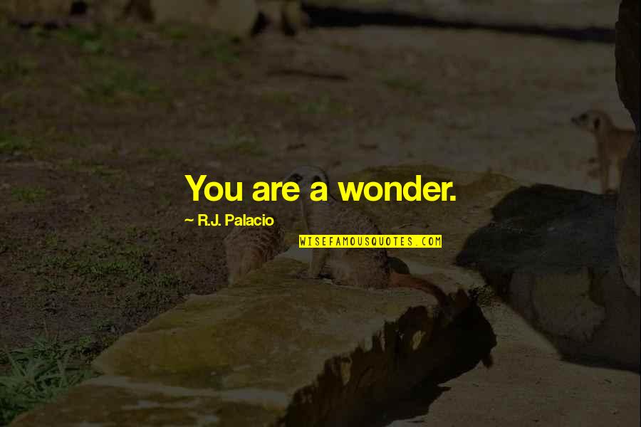 Wonder Palacio Quotes By R.J. Palacio: You are a wonder.