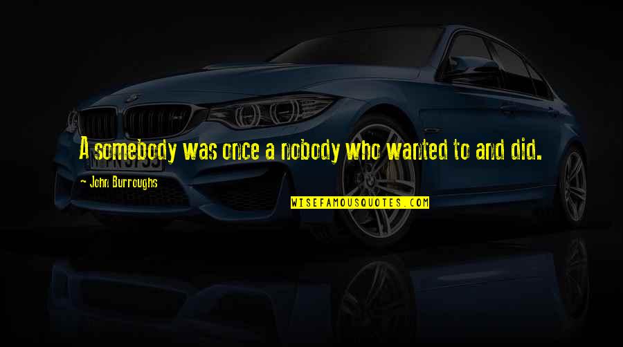 Wonder Twin Quotes By John Burroughs: A somebody was once a nobody who wanted Wonder Twin Quotes By John Burroughs: A somebody was once a nobody who wanted