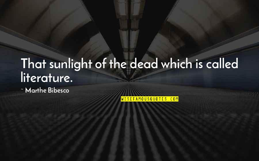 Wonderful Boss Quotes By Marthe Bibesco: That sunlight of the dead which is called