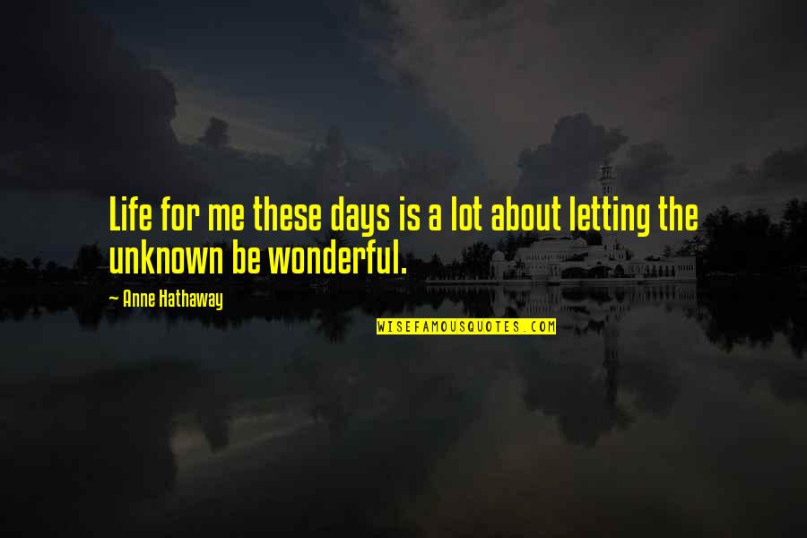 Wonderful Days Quotes By Anne Hathaway: Life for me these days is a lot