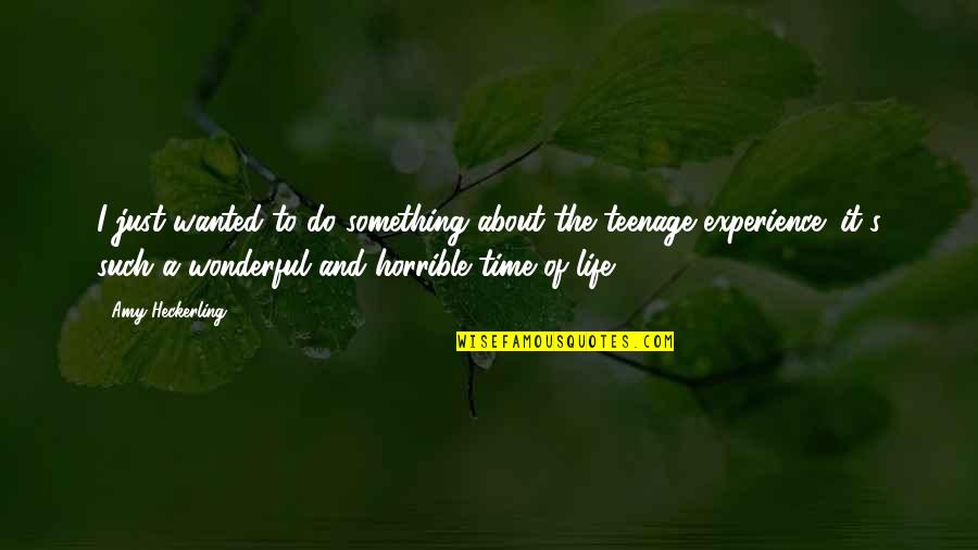 Wonderful Experience Quotes By Amy Heckerling: I just wanted to do something about the