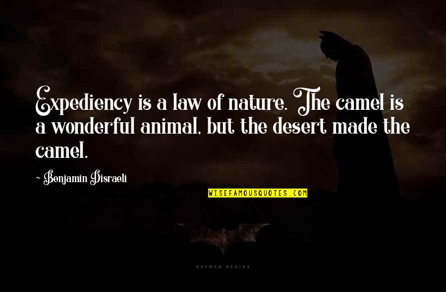 Wonderful Nature Quotes By Benjamin Disraeli: Expediency is a law of nature. The camel