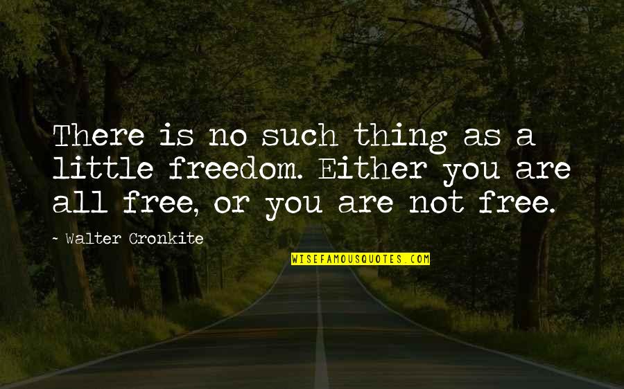 Wonderful Neighbors Quotes By Walter Cronkite: There is no such thing as a little Wonderful Neighbors Quotes By Walter Cronkite: There is no such thing as a little