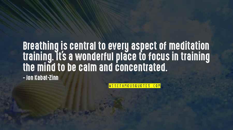 Wonderful Place Quotes By Jon Kabat-Zinn: Breathing is central to every aspect of meditation