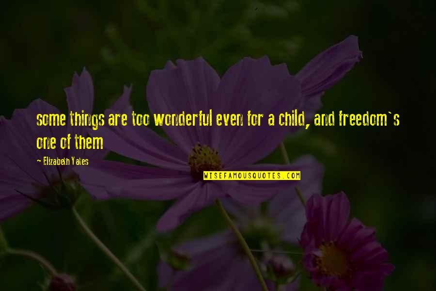 Wonderful Things Quotes By Elizabeth Yates: some things are too wonderful even for a