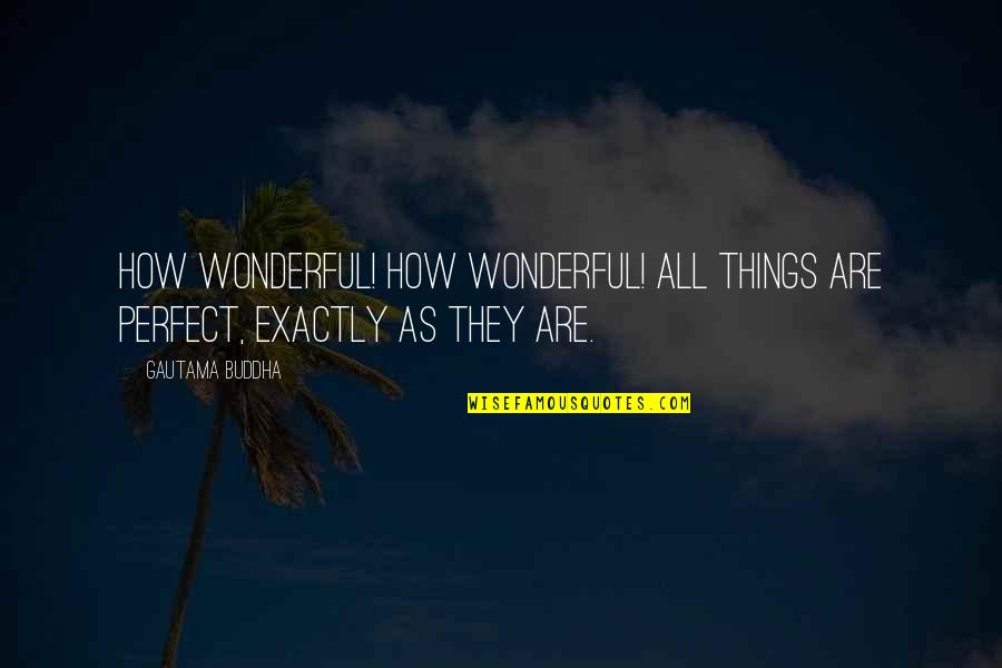 Wonderful Things Quotes By Gautama Buddha: How wonderful! How wonderful! All things are perfect,