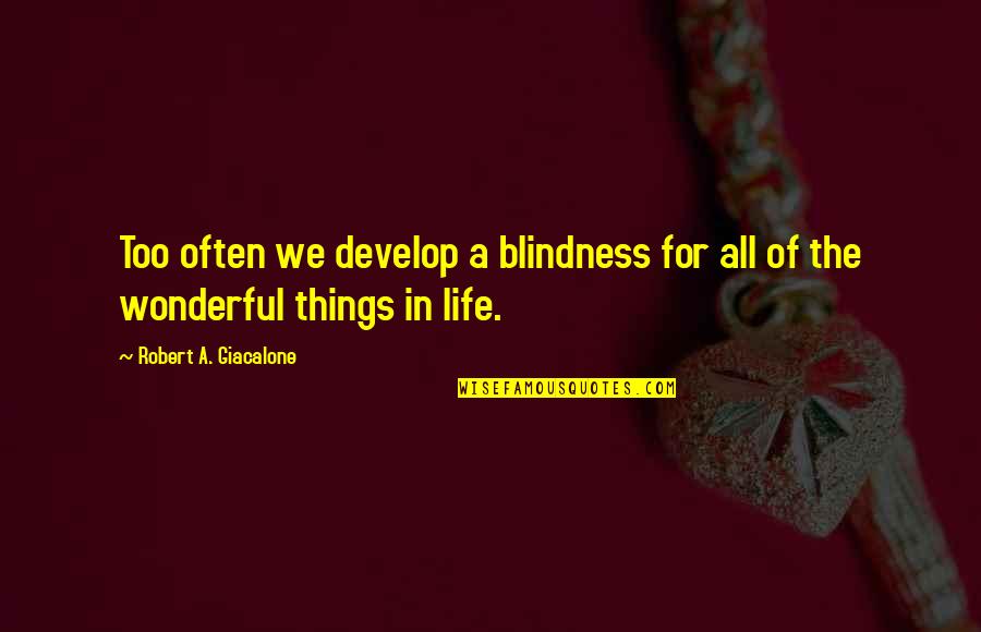 Wonderful Things Quotes By Robert A. Giacalone: Too often we develop a blindness for all Wonderful Things Quotes By Robert A. Giacalone: Too often we develop a blindness for all
