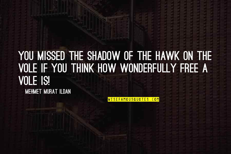 Wonderfully You Quotes By Mehmet Murat Ildan: You missed the shadow of the hawk on Wonderfully You Quotes By Mehmet Murat Ildan: You missed the shadow of the hawk on