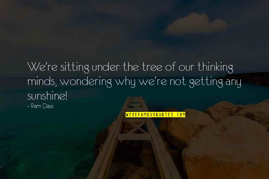 Wondering Why Quotes By Ram Dass: We're sitting under the tree of our thinking