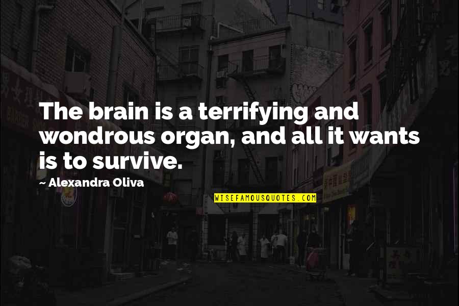 Wondrous Quotes By Alexandra Oliva: The brain is a terrifying and wondrous organ,