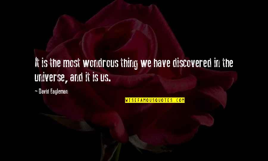 Wondrous Quotes By David Eagleman: It is the most wondrous thing we have