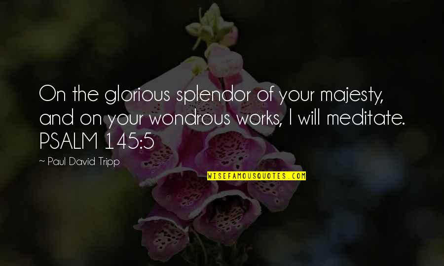 Wondrous Quotes By Paul David Tripp: On the glorious splendor of your majesty, and