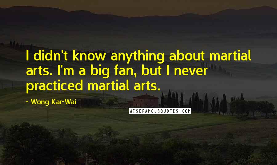 Wong Kar-Wai quotes: I didn't know anything about martial arts. I'm a big fan, but I never practiced martial arts.