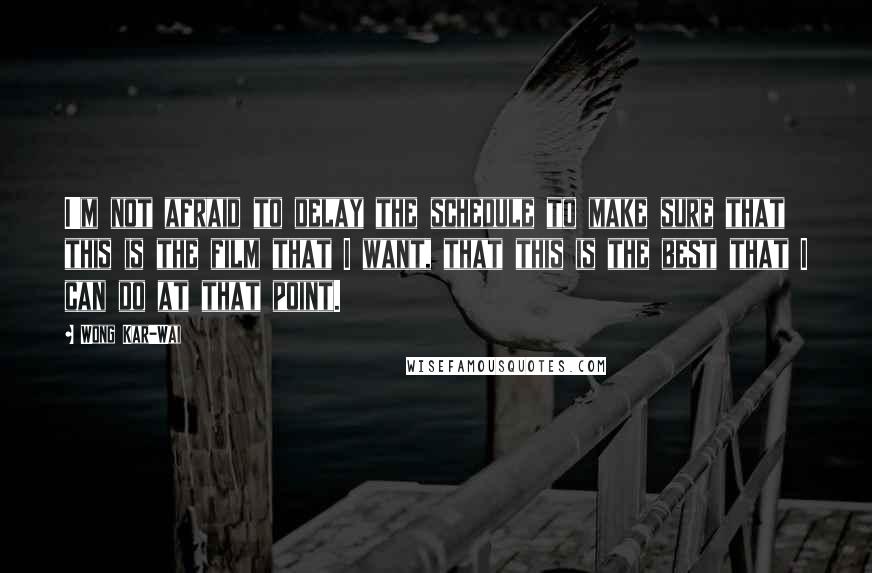 Wong Kar-Wai quotes: I'm not afraid to delay the schedule to make sure that this is the film that I want, that this is the best that I can do at that point.