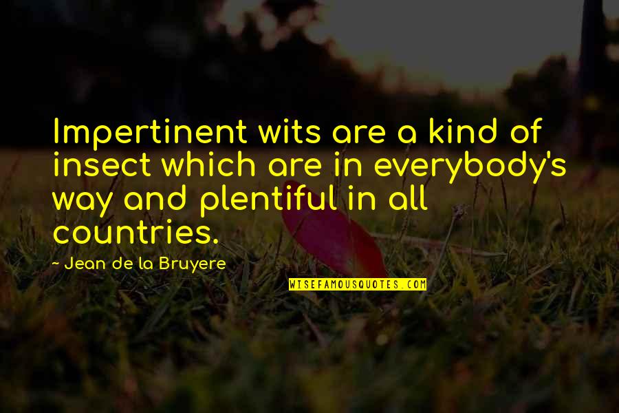 Won't Give Up Relationship Quotes By Jean De La Bruyere: Impertinent wits are a kind of insect which