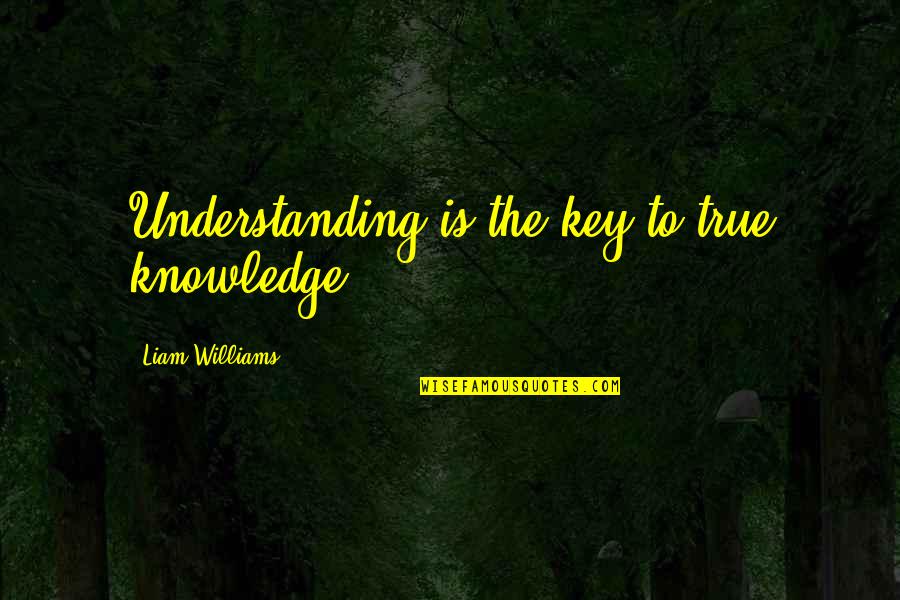 Woobies For Sale Quotes By Liam Williams: Understanding is the key to true knowledge