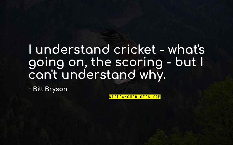 Wood Bats Quotes By Bill Bryson: I understand cricket - what's going on, the