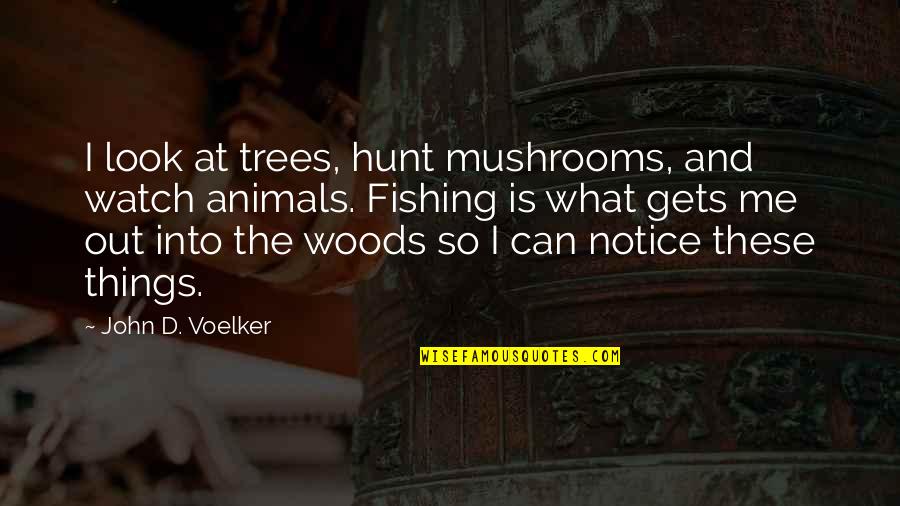 Wood Framing Quotes By John D. Voelker: I look at trees, hunt mushrooms, and watch