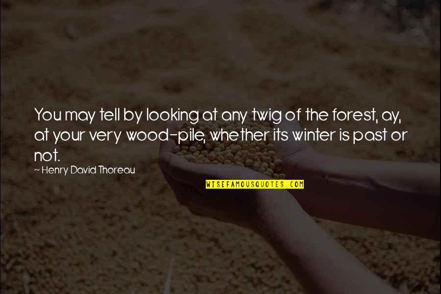 Wood Pile Quotes By Henry David Thoreau: You may tell by looking at any twig