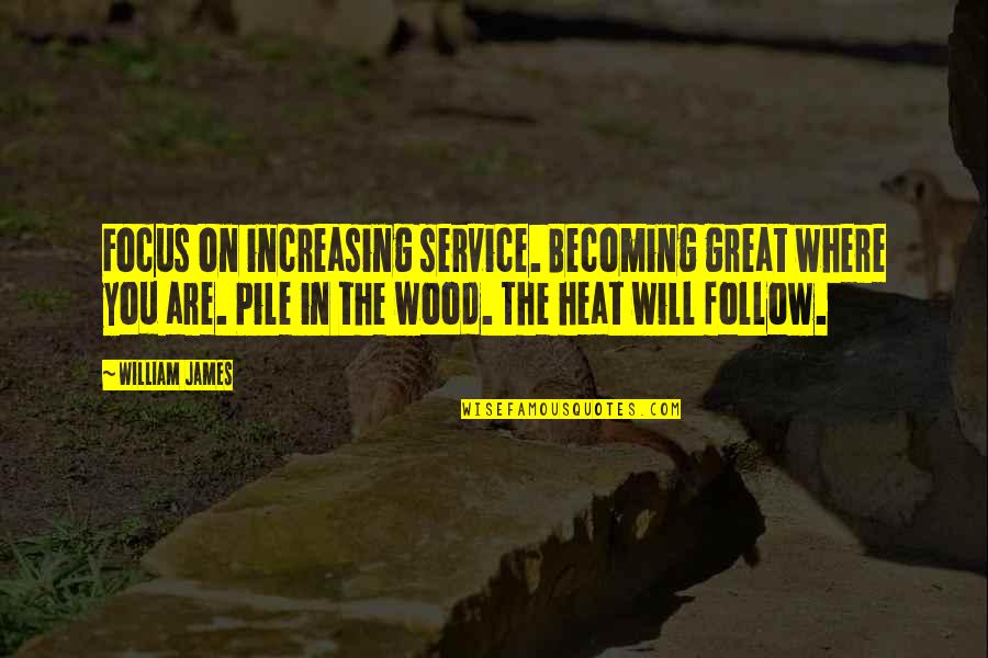 Wood Pile Quotes By William James: Focus on increasing service. Becoming great where you
