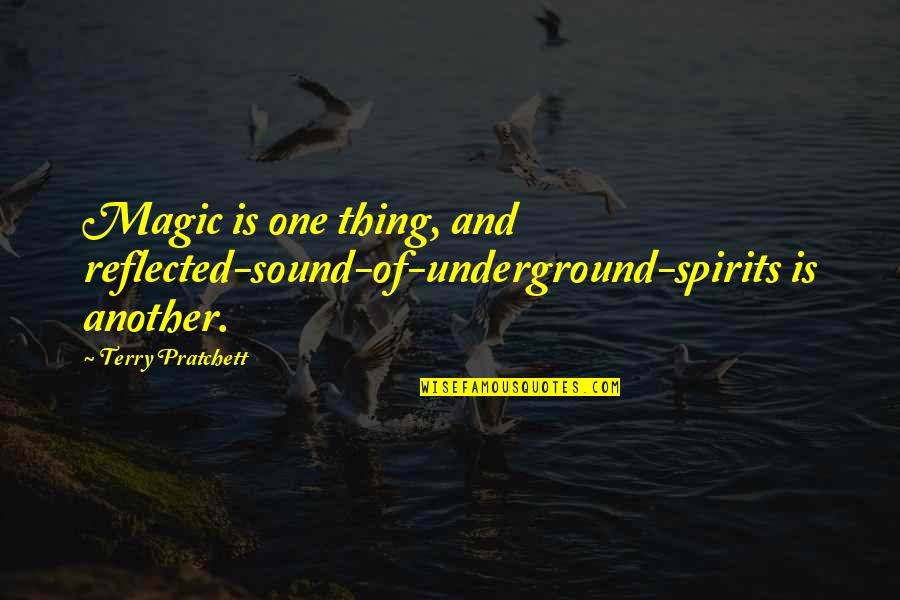 Wood Signs Quotes By Terry Pratchett: Magic is one thing, and reflected-sound-of-underground-spirits is another.
