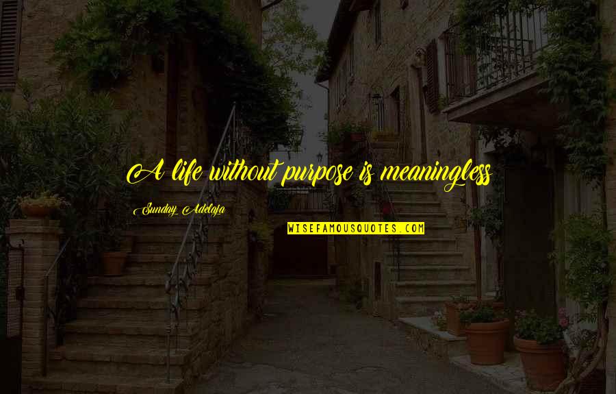 Woodcrafter Quotes By Sunday Adelaja: A life without purpose is meaningless