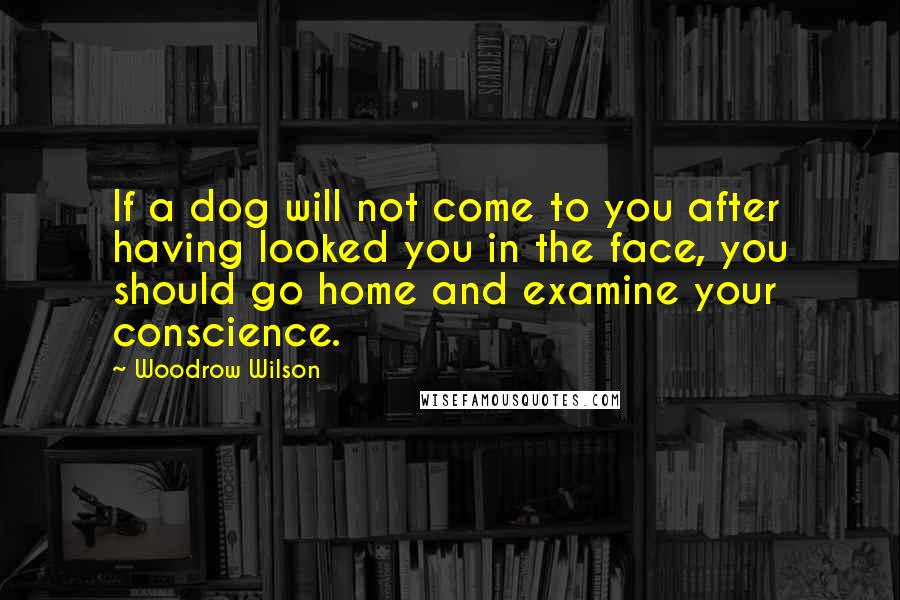 Woodrow Wilson quotes: If a dog will not come to you after having looked you in the face, you should go home and examine your conscience.