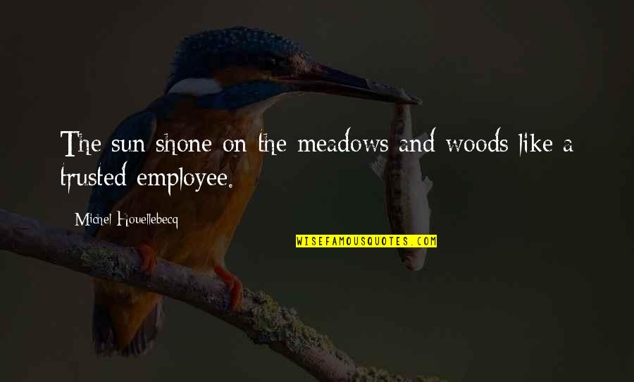 Woods And Meadows Quotes By Michel Houellebecq: The sun shone on the meadows and woods Woods And Meadows Quotes By Michel Houellebecq: The sun shone on the meadows and woods