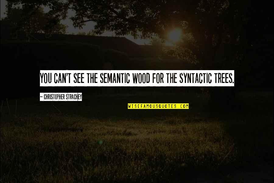 Woods And Trees Quotes By Christopher Strachey: You can't see the semantic wood for the