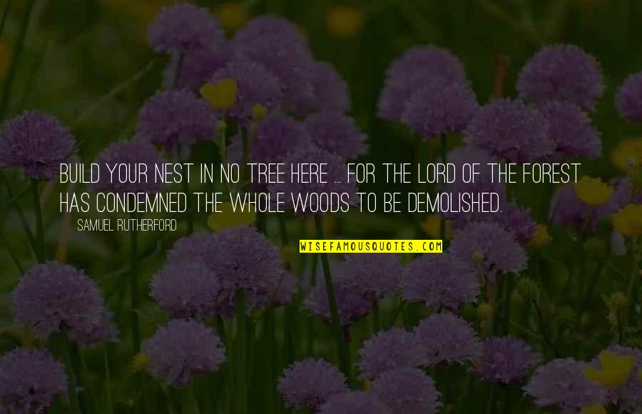 Woods Forest Quotes By Samuel Rutherford: Build your nest in no tree here ... Woods Forest Quotes By Samuel Rutherford: Build your nest in no tree here ...