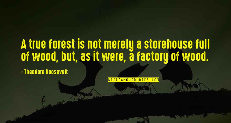 Woods Forest Quotes By Theodore Roosevelt: A true forest is not merely a storehouse Woods Forest Quotes By Theodore Roosevelt: A true forest is not merely a storehouse