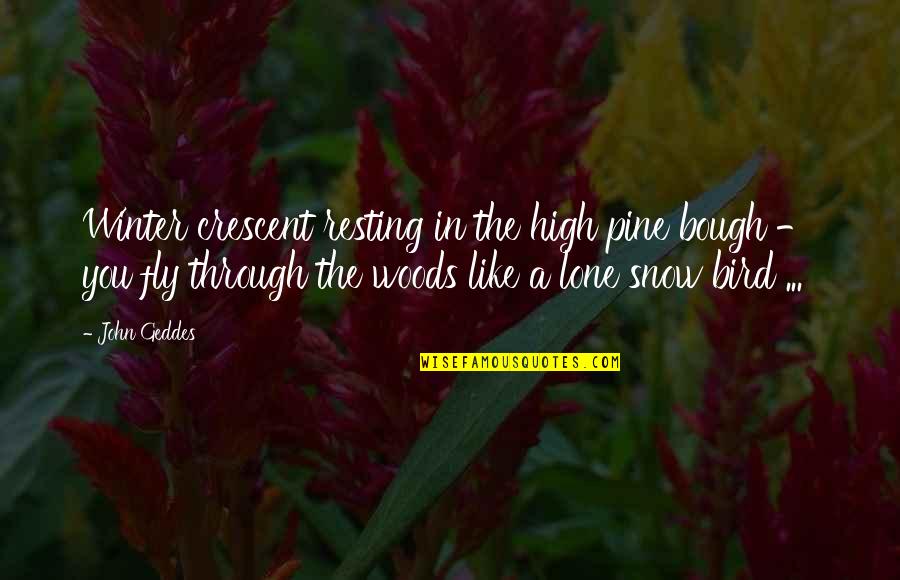 Woods In Winter Quotes By John Geddes: Winter crescent resting in the high pine bough Woods In Winter Quotes By John Geddes: Winter crescent resting in the high pine bough
