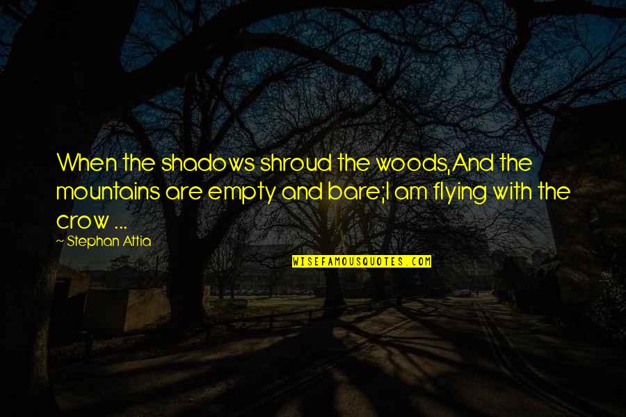 Woods Quotes Quotes By Stephan Attia: When the shadows shroud the woods,And the mountains