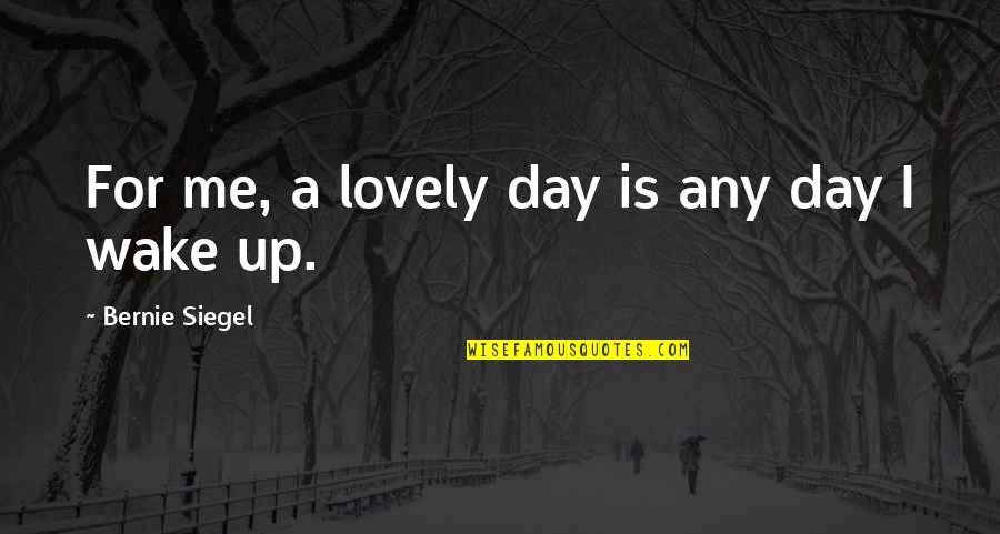Woodworker Quotes By Bernie Siegel: For me, a lovely day is any day