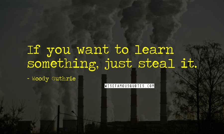 Woody Guthrie quotes: If you want to learn something, just steal it.