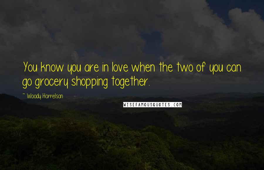 Woody Harrelson quotes: You know you are in love when the two of you can go grocery shopping together.