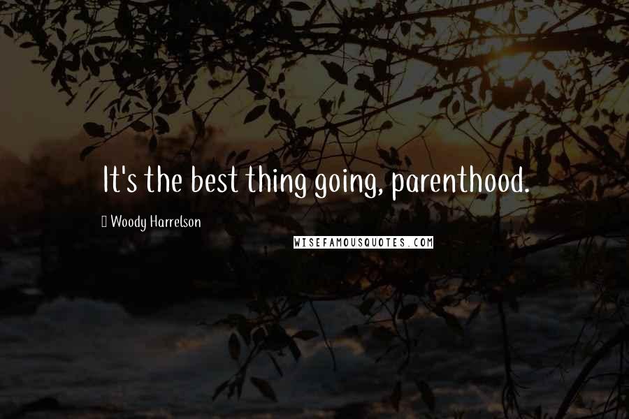 Woody Harrelson quotes: It's the best thing going, parenthood.