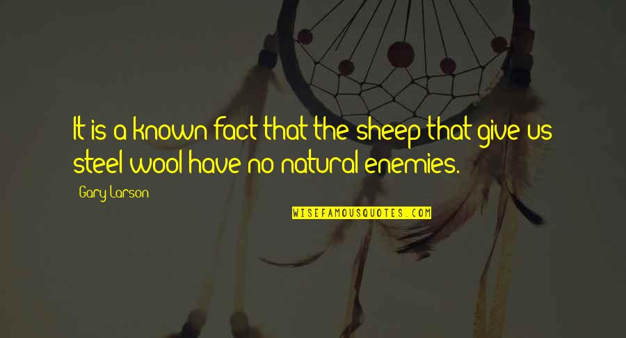 Wool Quotes By Gary Larson: It is a known fact that the sheep