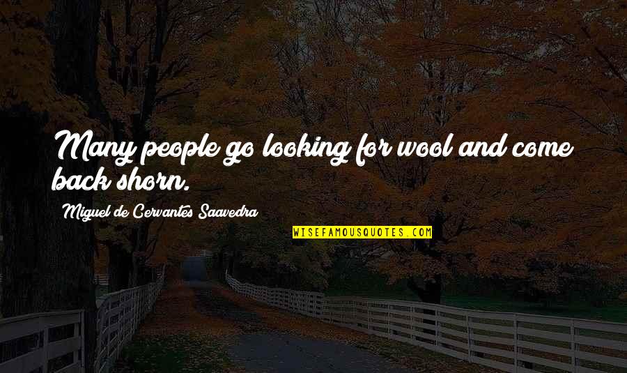 Wool Quotes By Miguel De Cervantes Saavedra: Many people go looking for wool and come