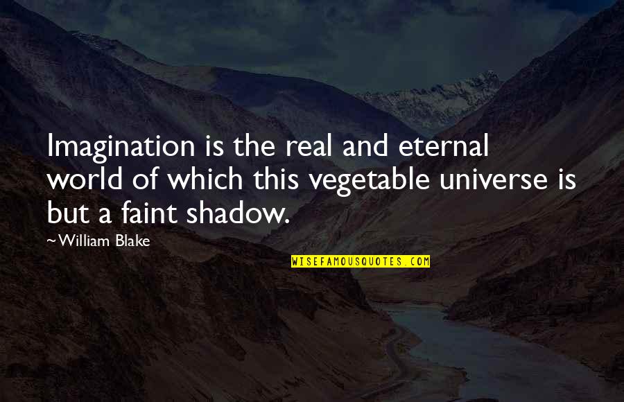 Woollen Quotes By William Blake: Imagination is the real and eternal world of