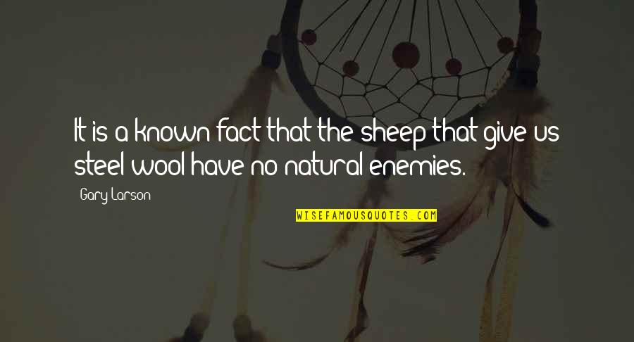 Wool's Quotes By Gary Larson: It is a known fact that the sheep