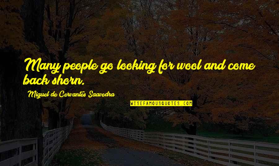 Wool's Quotes By Miguel De Cervantes Saavedra: Many people go looking for wool and come